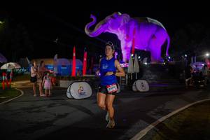 BIB: 
                            <button type="button" onclick="openModal(26552206)" class="btn btn-primary btn-sm float-right btn-popup" data-toggle="modal" data-target=".modal-high-quality">
                        <i class="fas fa-shopping-cart"></i> Add to Cart
                    </button>
                                            <button type="button" onclick="isThisMe(26552206, true)" class="btn btn-success btn-sm float-right btn-popup btn-isme hidden" data-toggle="tooltip" data-placement="bottom" title="นี่คือรูปของคุณใช่ไหม คลิกที่นี่เพื่อเอาเข้าอัลบั้ม">
                        <i class="fas fa-plus"></i> Add to album
                    </button>
                    <button type="button" onclick="isThisMe(26552206, false)" class="btn btn-warning btn-sm float-right btn-popup btn-isnotme hidden">
                        <i class="fas fa-ban"></i> Remove from album
                    </button>